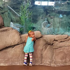 Meet your Posher, Marcus